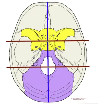 압구정 뷰리플한의원 안면비대칭 두개골측면사진